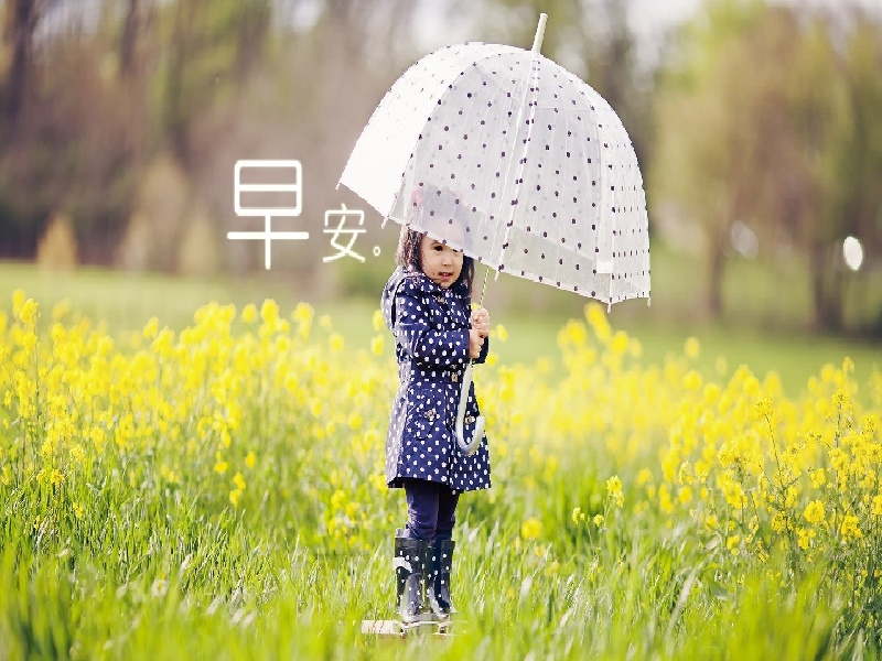 上海送子奶奶试管（嘉兴妇保试管直播）